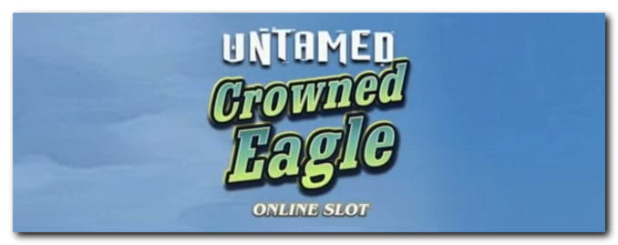 $600 Daily freeroll slot tournament at Video Slots Casino