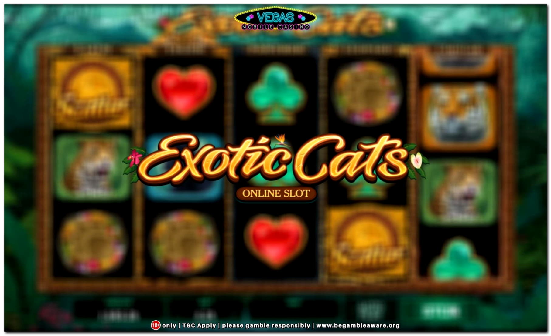 Eur 305 FREE CHIP CASINO at Casino com