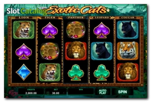200 free spins no deposit casino at bWin Casino