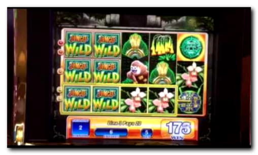 11 Loyalty Free Spins! at High Roller Casino
