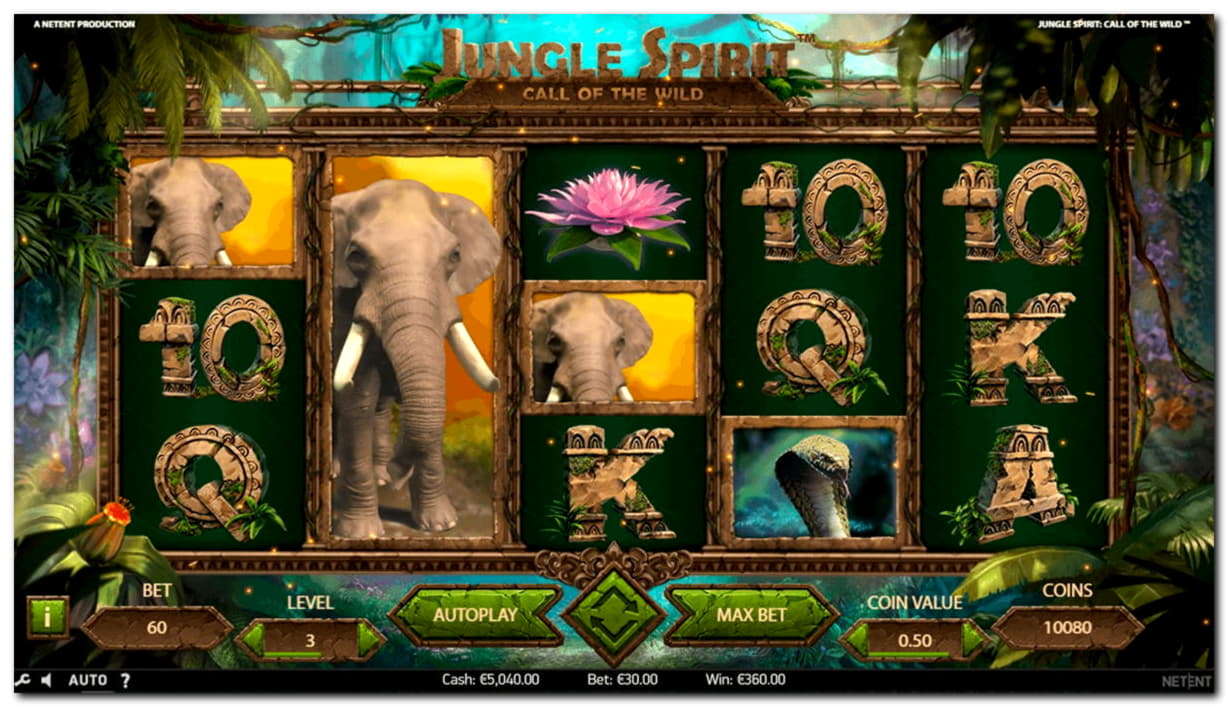 125 Free spins at Gamebookers Casino