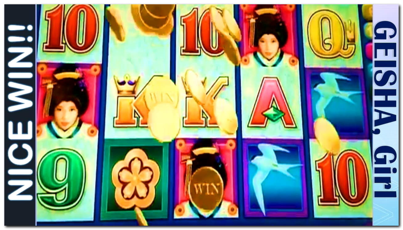 245 Free casino spins at Dunder Casino