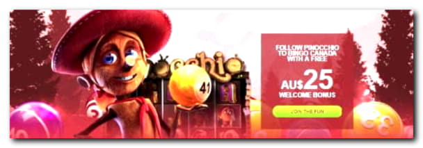 15 FREE Spins at Jet Bull Casino