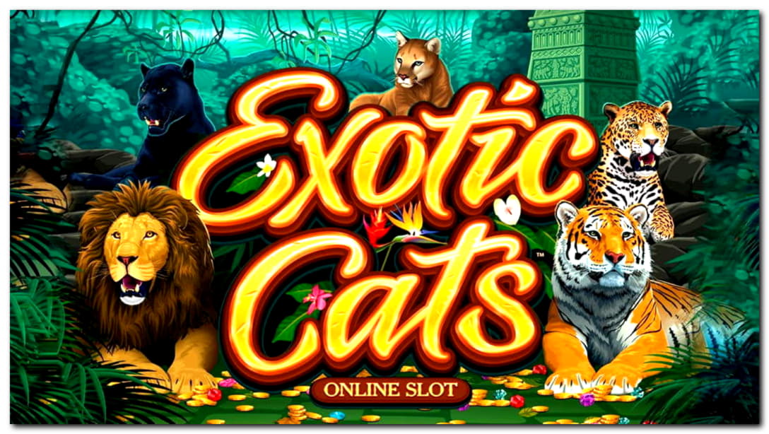 720% Match bonus at BGO Casino