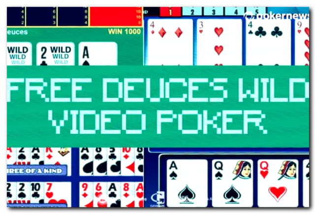 $4260 NO DEPOSIT BONUS CASINO at Rizk Casino