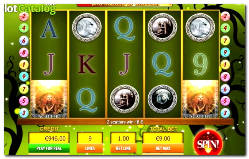 50 free spins at BGO Casino