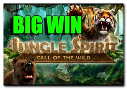Eur 655 Daily freeroll slot tournament at Vera and Jhon Casino