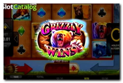 35 free spins at Vera and Jhon Casino
