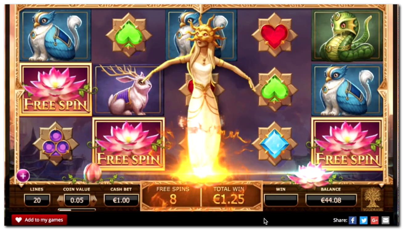 €670 FREE CHIP at Spinrider Casino