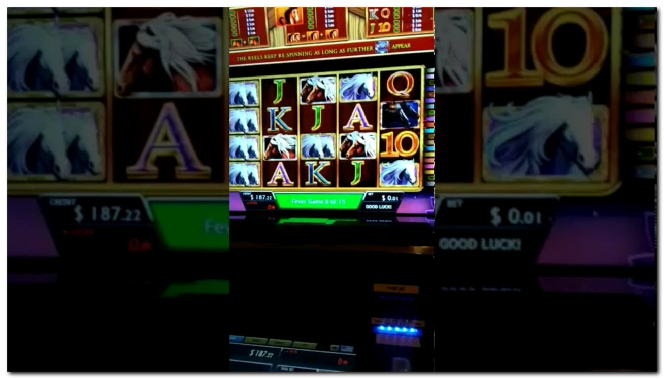 $550 Mobile freeroll slot tournament at Casino Shadowbet