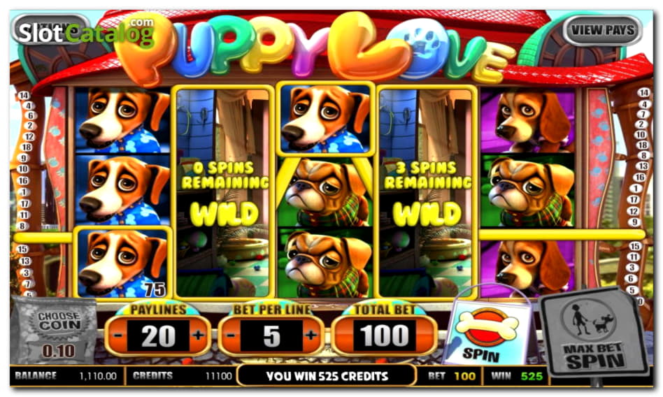 $1000 no deposit at Spinrider Casino