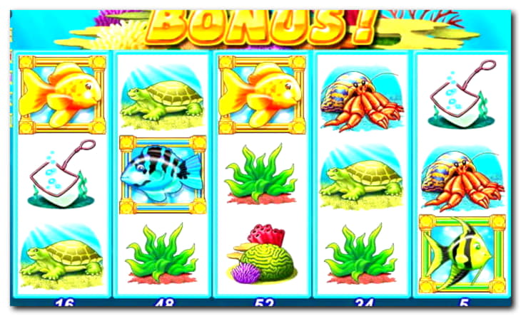 735% casino match bonus at Vera and Jhon Casino