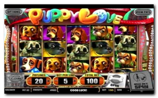 65 Loyalty Free Spins! at Dunder Casino