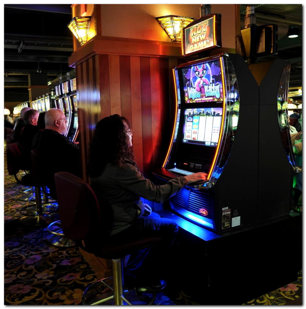 $1315 NO DEPOSIT at Kaboo Casino