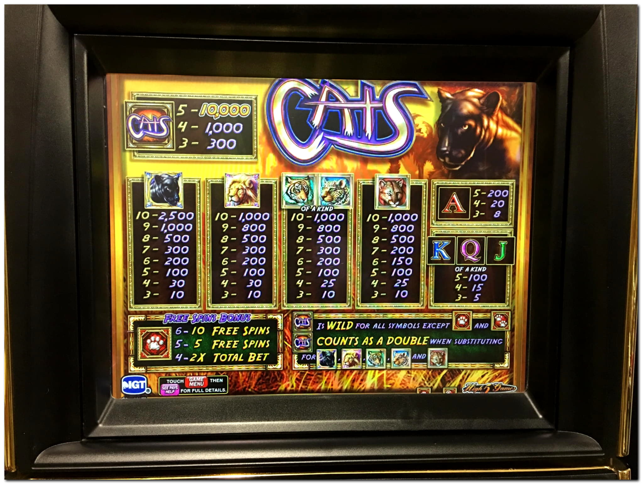 €715 Daily freeroll slot tournament at Kaboo Casino