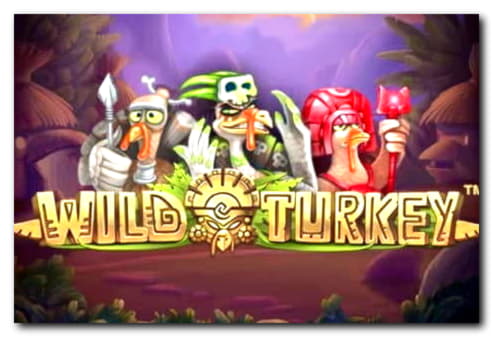 €160 Free Money at Rizk Casino