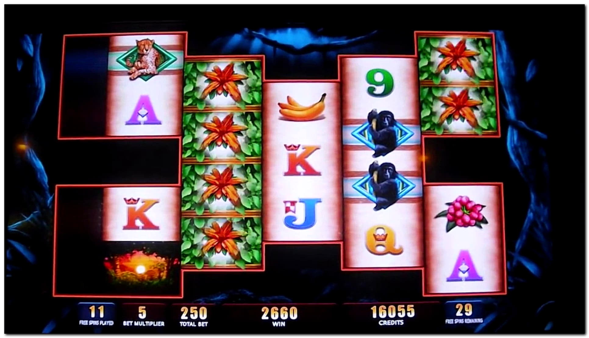 €555 FREE Chip Casino at LV Bet Casino