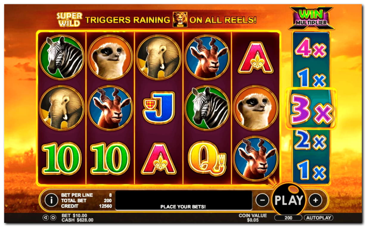 55 Loyalty Free Spins! at Spinrider Casino