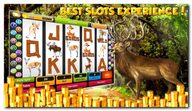 EURO 140 Casino tournaments freeroll at LV Bet Casino