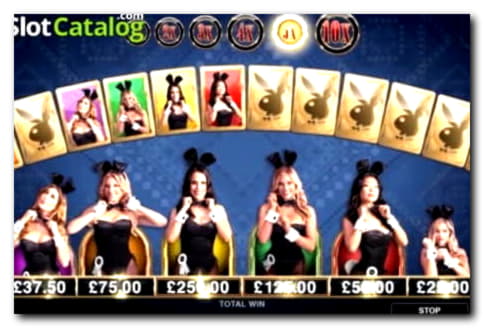 €240 Free Money at Rizk Casino