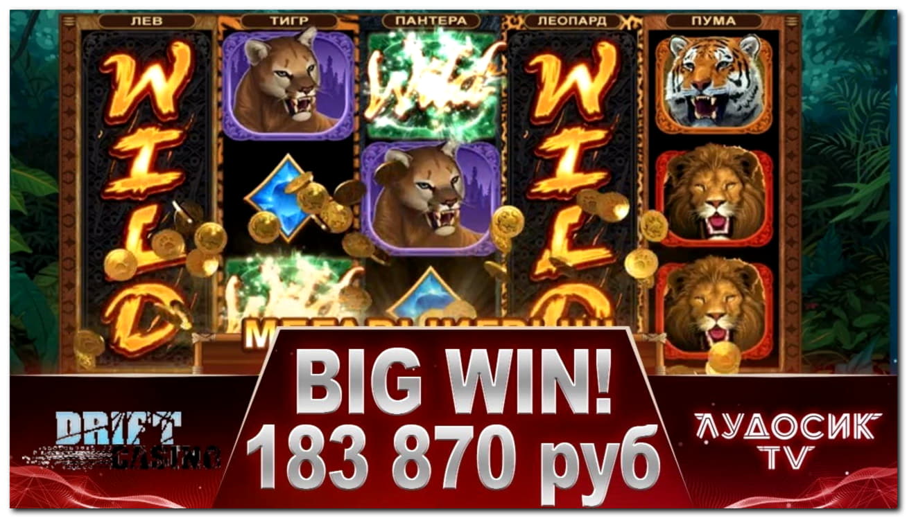 385% Best signup bonus casino at Spinrider Casino