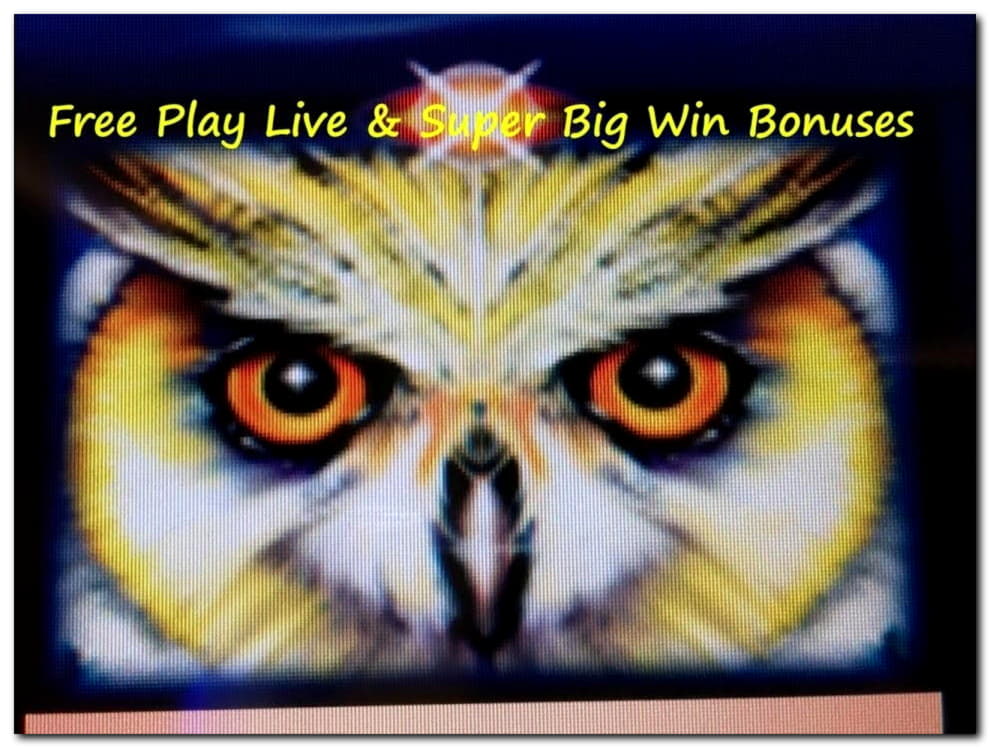 $200 Online Casino Tournament at Casino Shadowbet