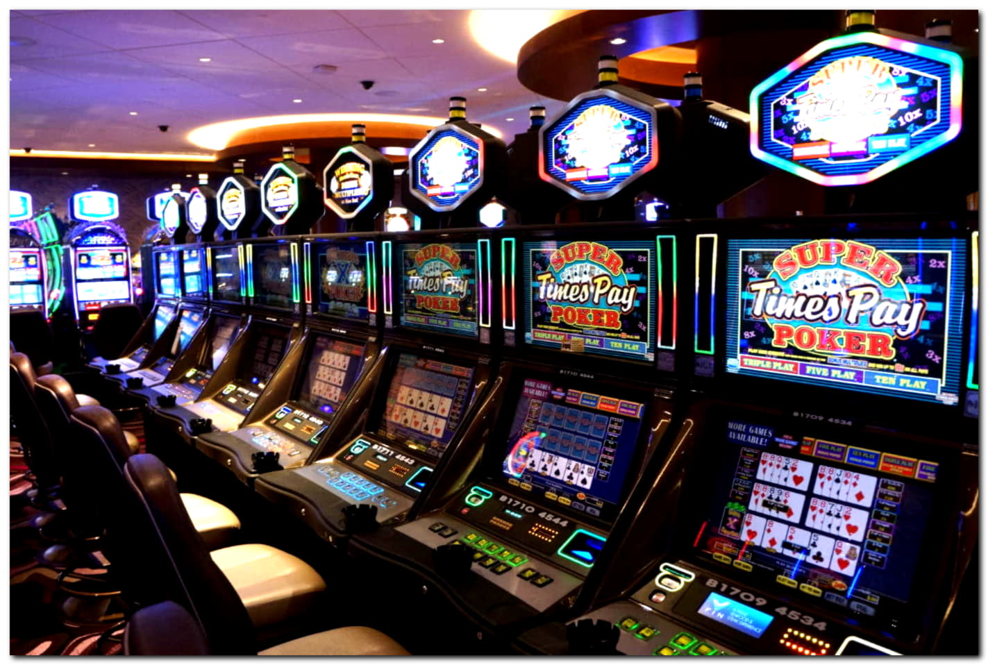 55 Loyal Free Spins! at Vera and Jhon Casino