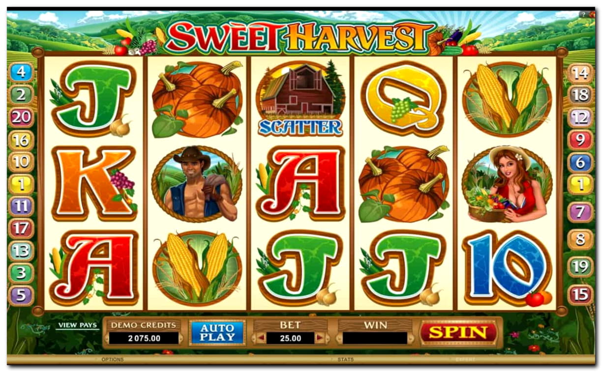 640% Best Signup Bonus Casino at Vera and Jhon Casino