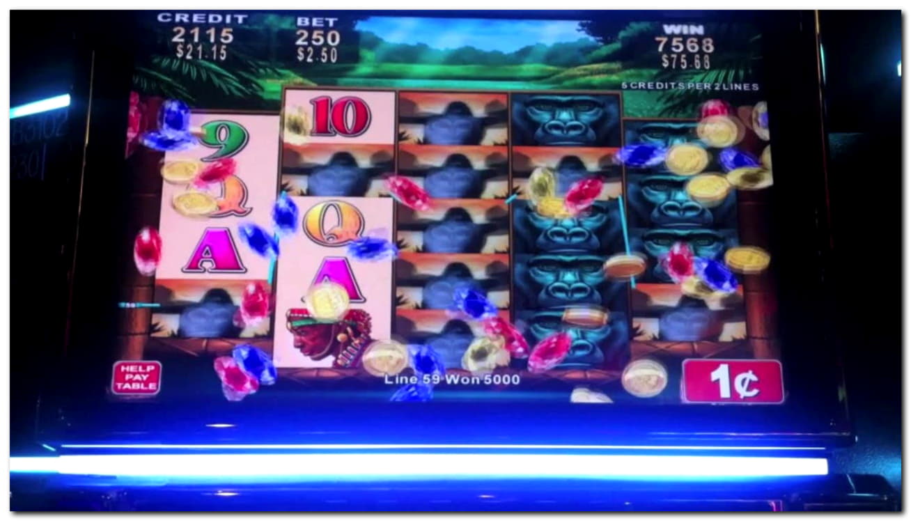 $4340 No deposit casino bonus at Vera and Jhon Casino