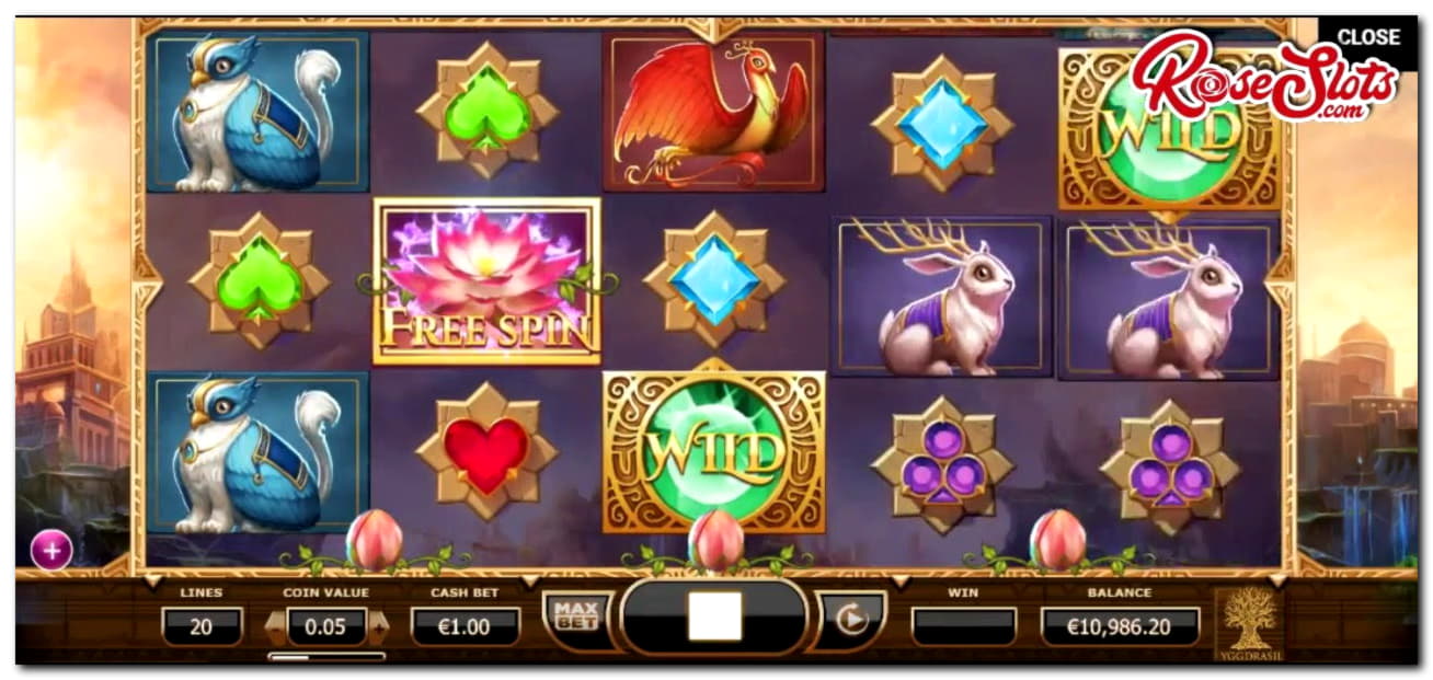 835% Signup casino bonus at Spinrider Casino