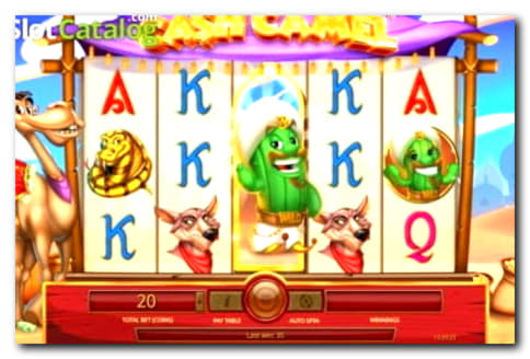 80 Loyalty Free Spins! at William Hill Casino