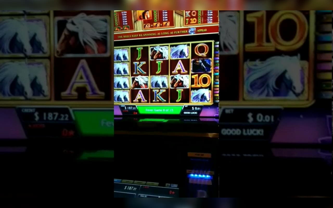 77 FREE SPINS at William Hill Casino