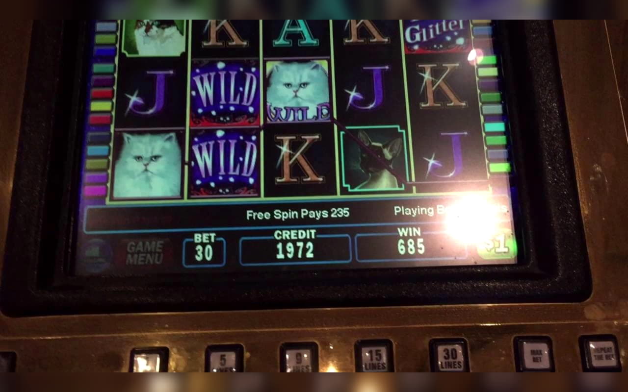 Eur 3235 no deposit bonus at Spinrider Casino