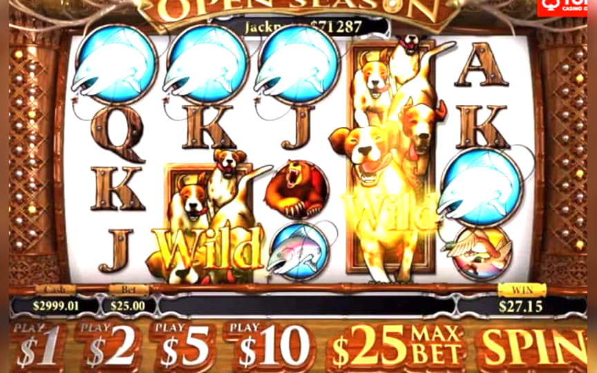 33 Free Casino Spins at Rizk Casino