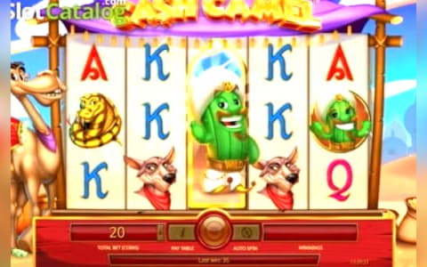 €3885 No deposit casino bonus at Leo Dubai Casino