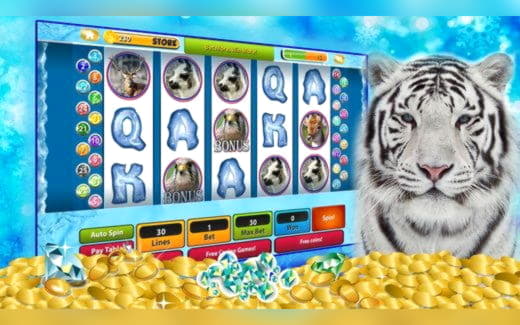 $5555 No Deposit Bonus Code at Video Slots Casino