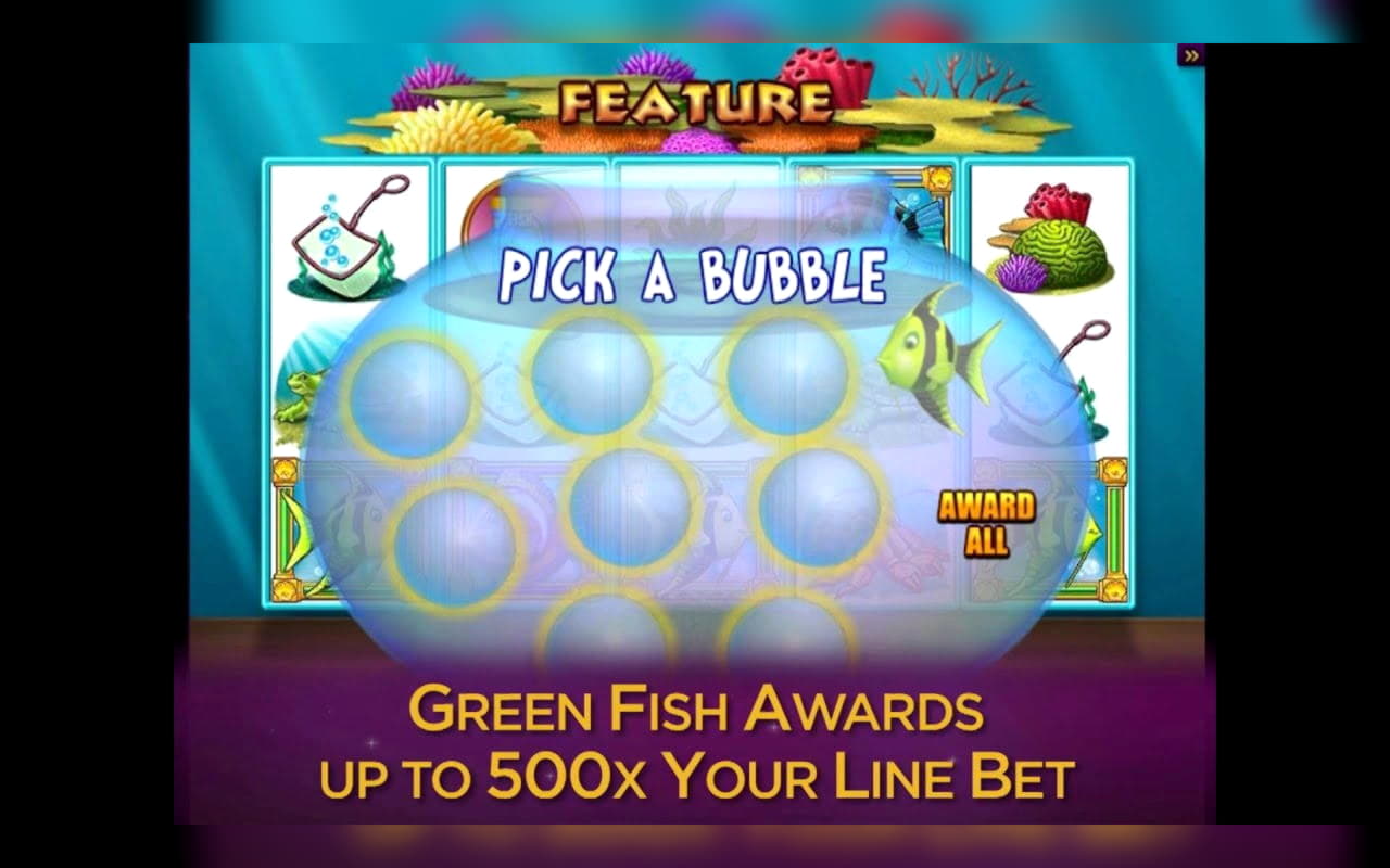935% No Rules Bonus! at Vera and Jhon Casino