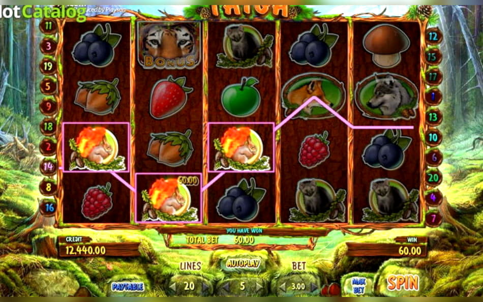 185 Free casino spins at Vera and Jhon Casino