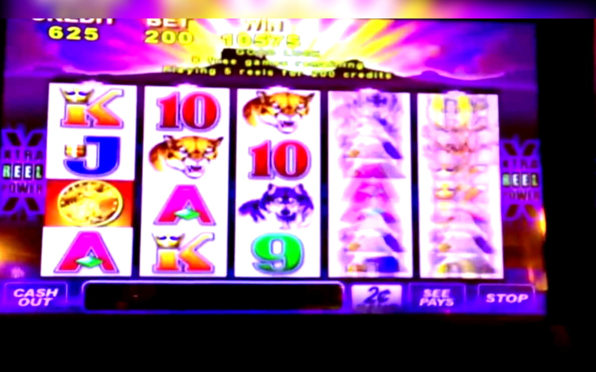 €33 Casino tournaments freeroll at Gamebookers Casino