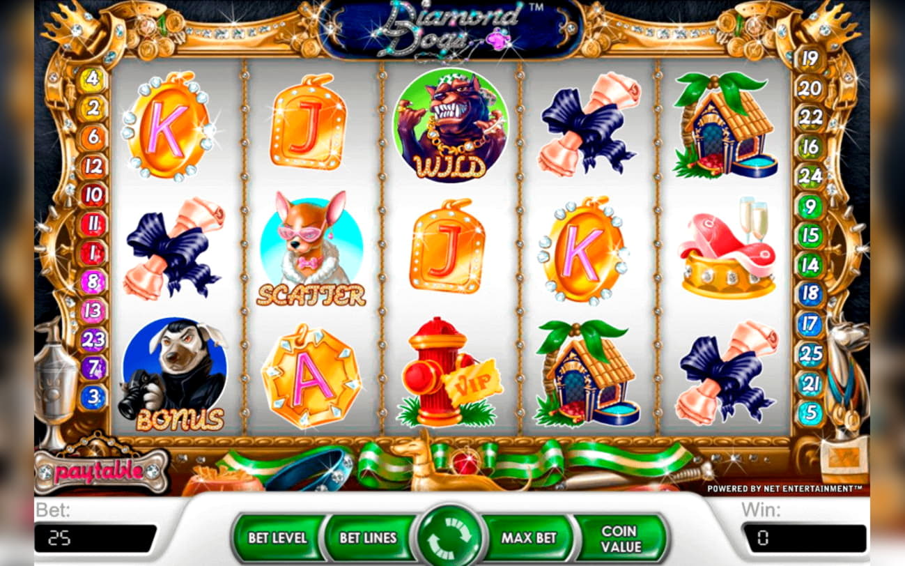 €3790 No Deposit at Leo Dubai Casino
