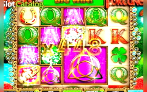 140 free spins casino at High Roller Casino