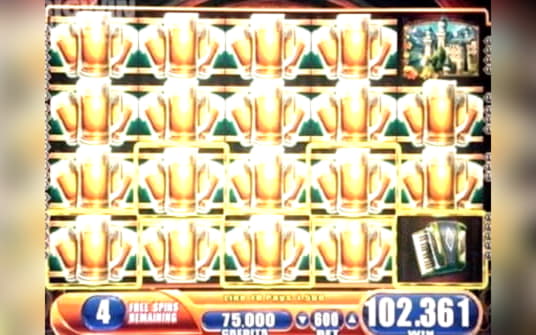 260 free spins no deposit casino at Rizk Casino