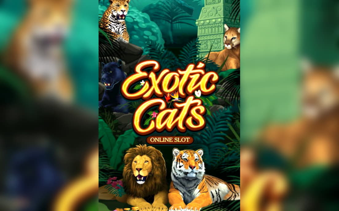 ﻿$125 Free chip casino at Vegas Paradise Casino