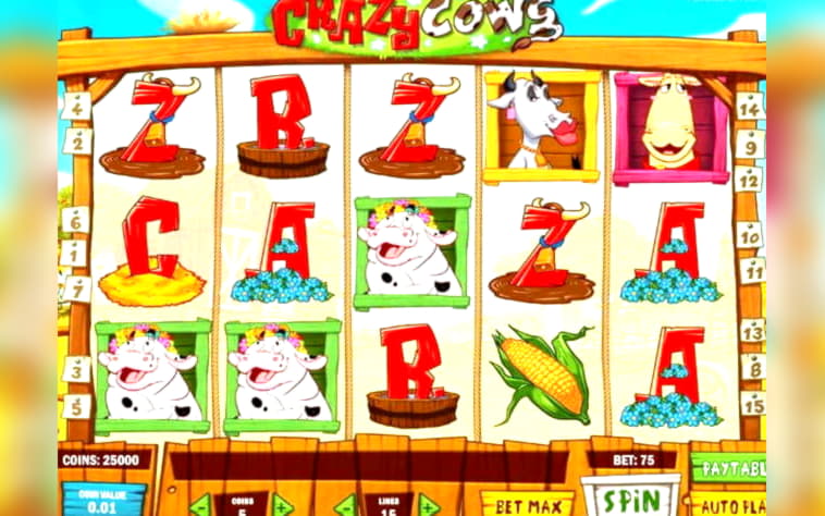 £90 Casino chip at Rizk Casino