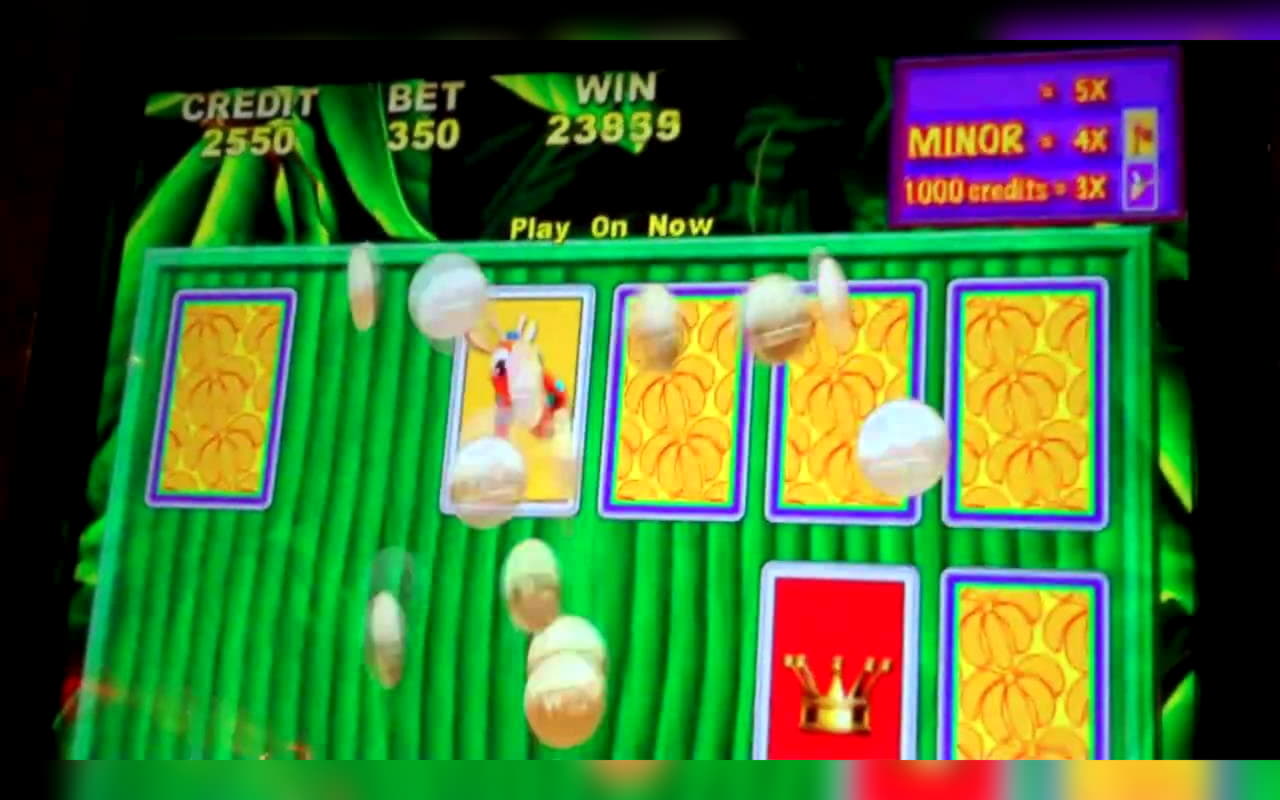 £910 No Deposit Bonus at Spinrider Casino