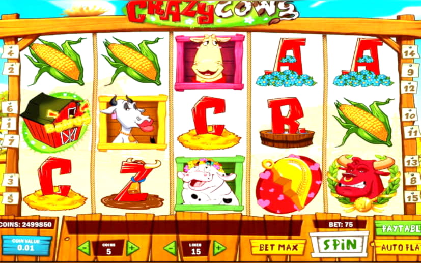 230 FREE Spins at William Hill Casino