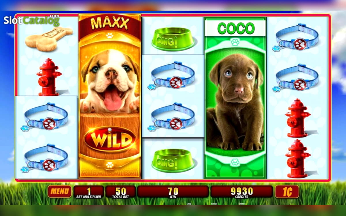 $3885 NO DEPOSIT BONUS CASINO at Sloty Casino