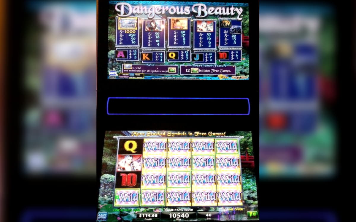 295 Free Spins at Casino Shadowbet