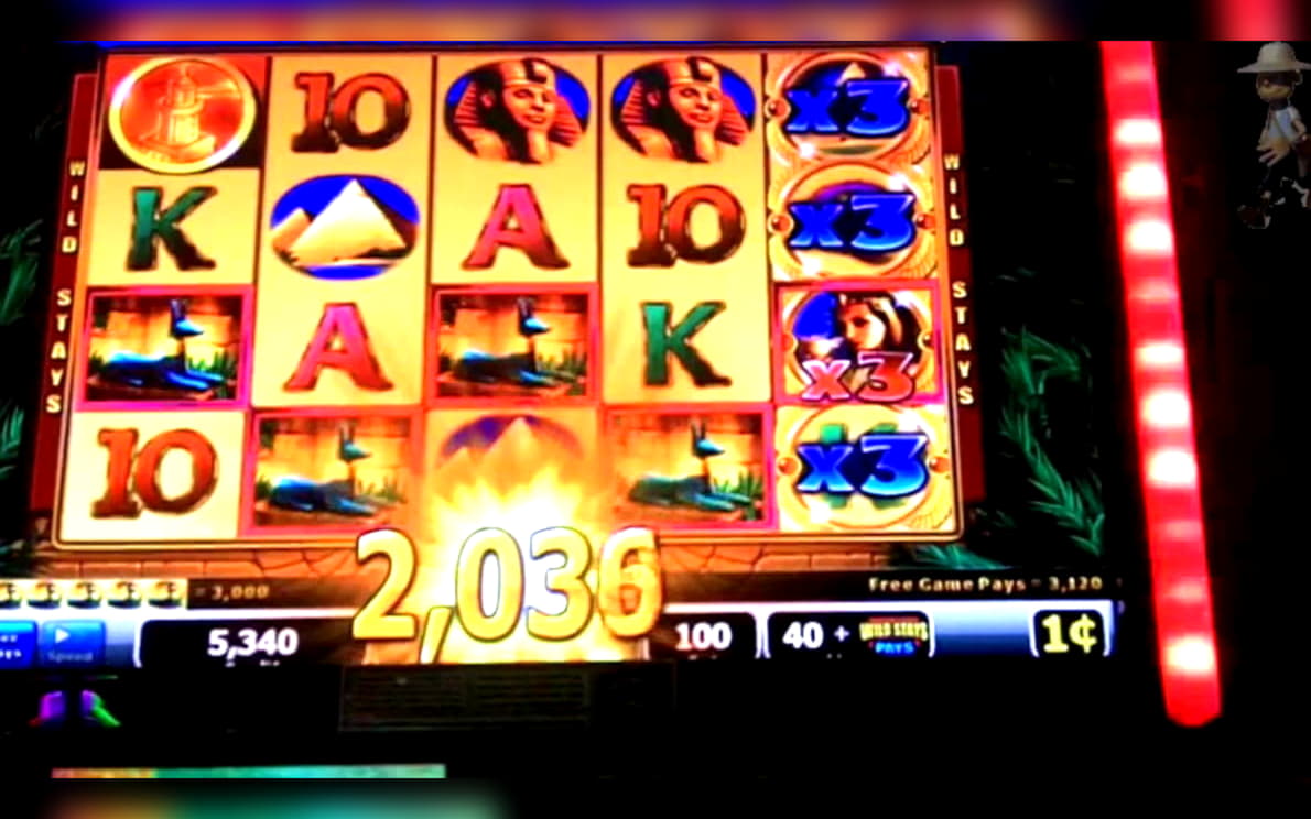 $425 Free casino chip at Rizk Casino