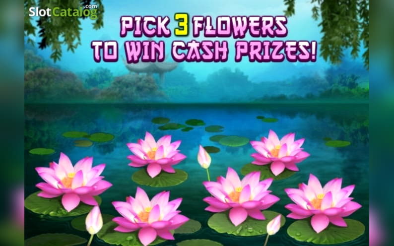185% Signup casino bonus at Leo Dubai Casino